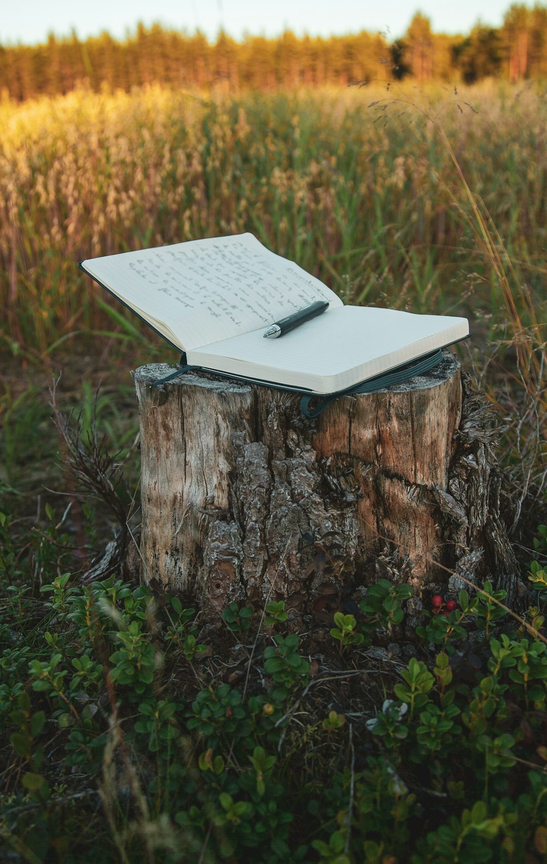 Photo by Nicolas Messifet white book on brown wood log